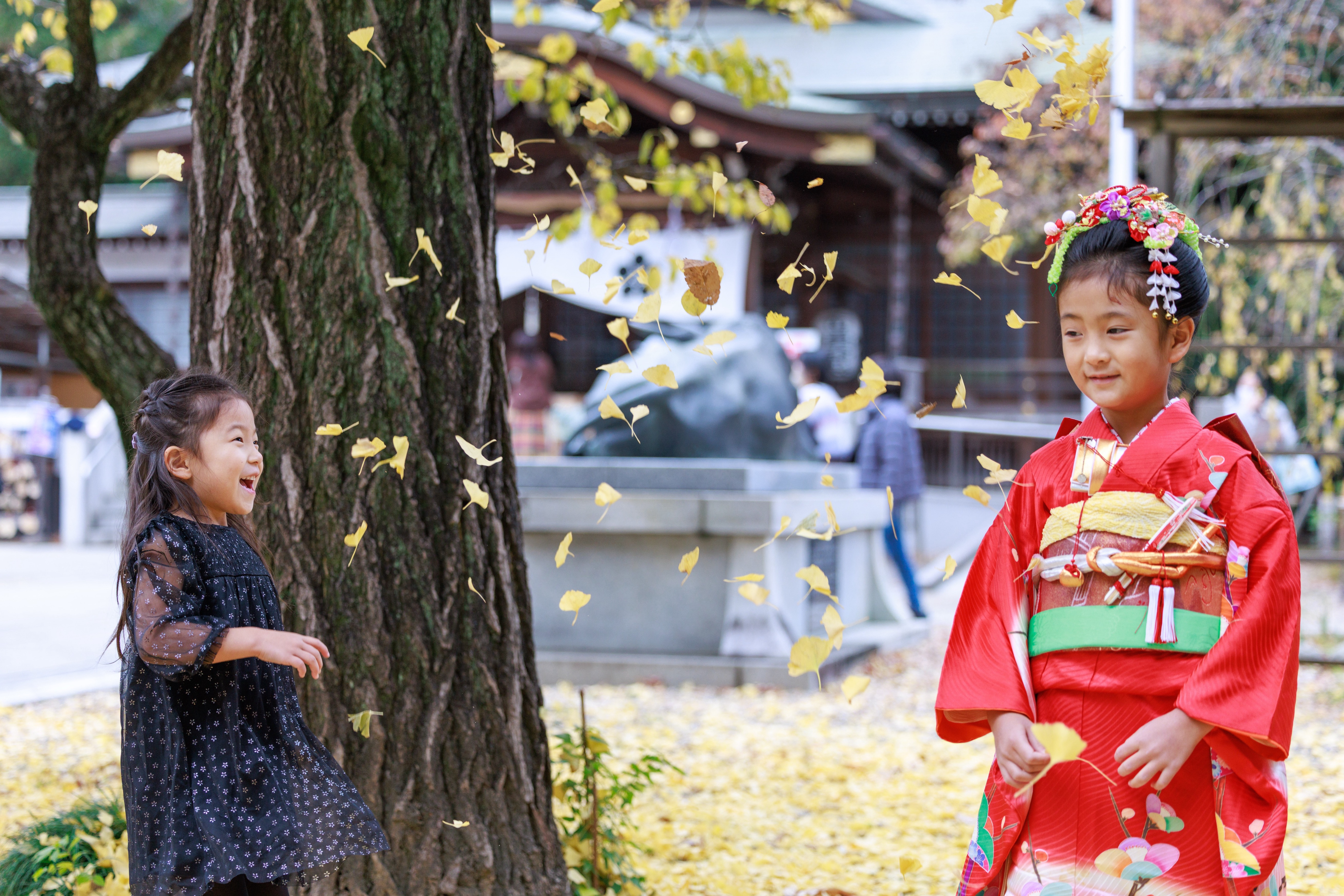 七五三 お参り全景 出張撮影 神奈川